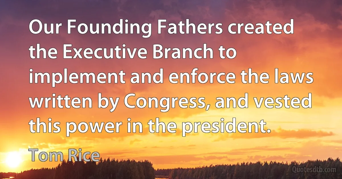 Our Founding Fathers created the Executive Branch to implement and enforce the laws written by Congress, and vested this power in the president. (Tom Rice)