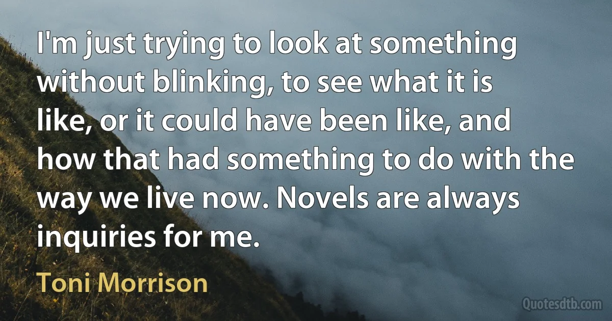 I'm just trying to look at something without blinking, to see what it is like, or it could have been like, and how that had something to do with the way we live now. Novels are always inquiries for me. (Toni Morrison)