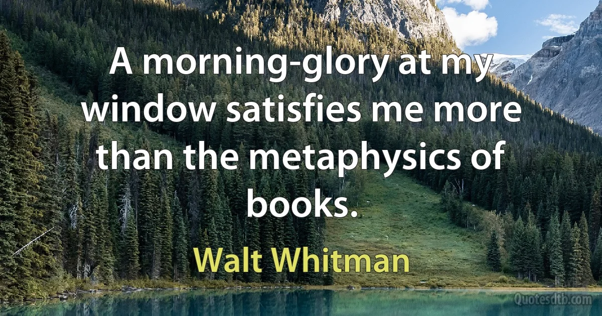 A morning-glory at my window satisfies me more than the metaphysics of books. (Walt Whitman)