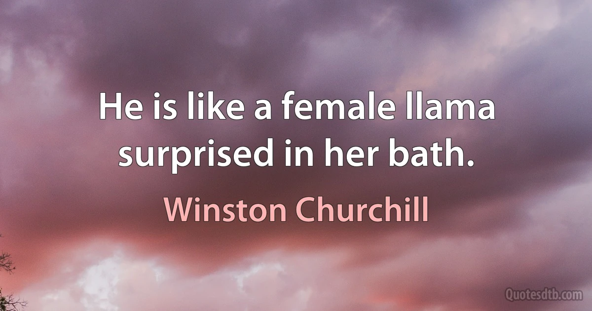 He is like a female llama surprised in her bath. (Winston Churchill)