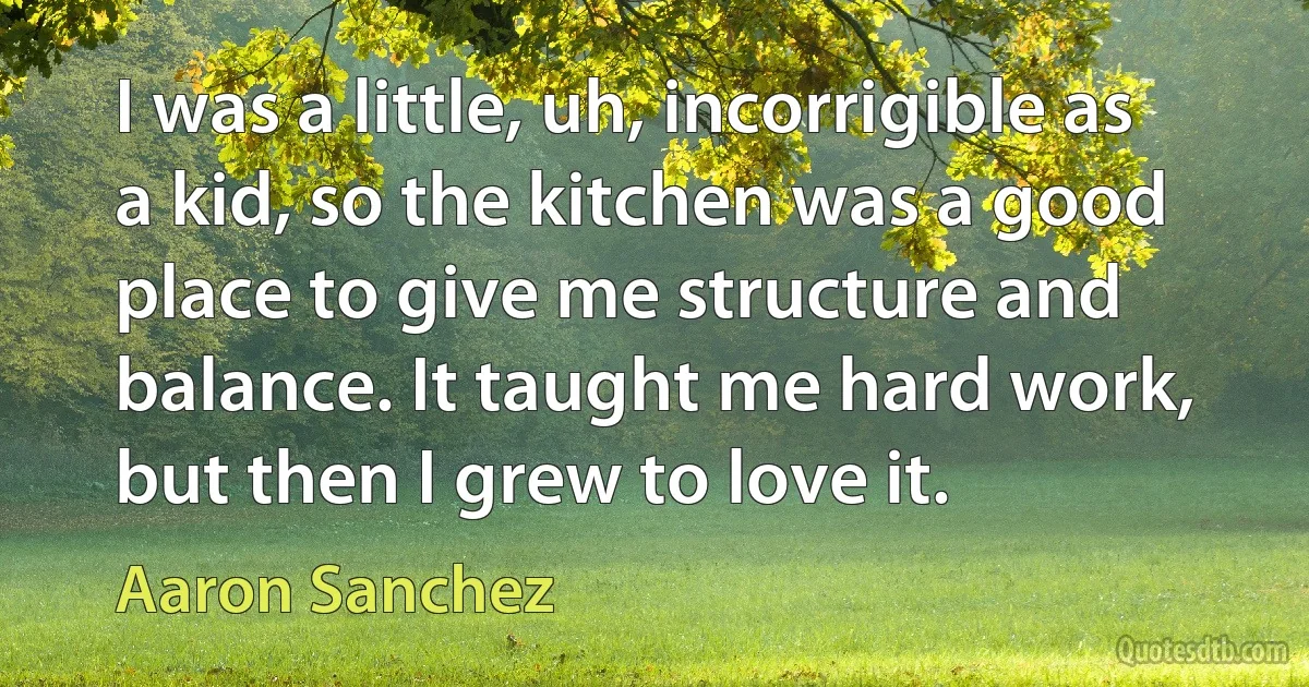 I was a little, uh, incorrigible as a kid, so the kitchen was a good place to give me structure and balance. It taught me hard work, but then I grew to love it. (Aaron Sanchez)