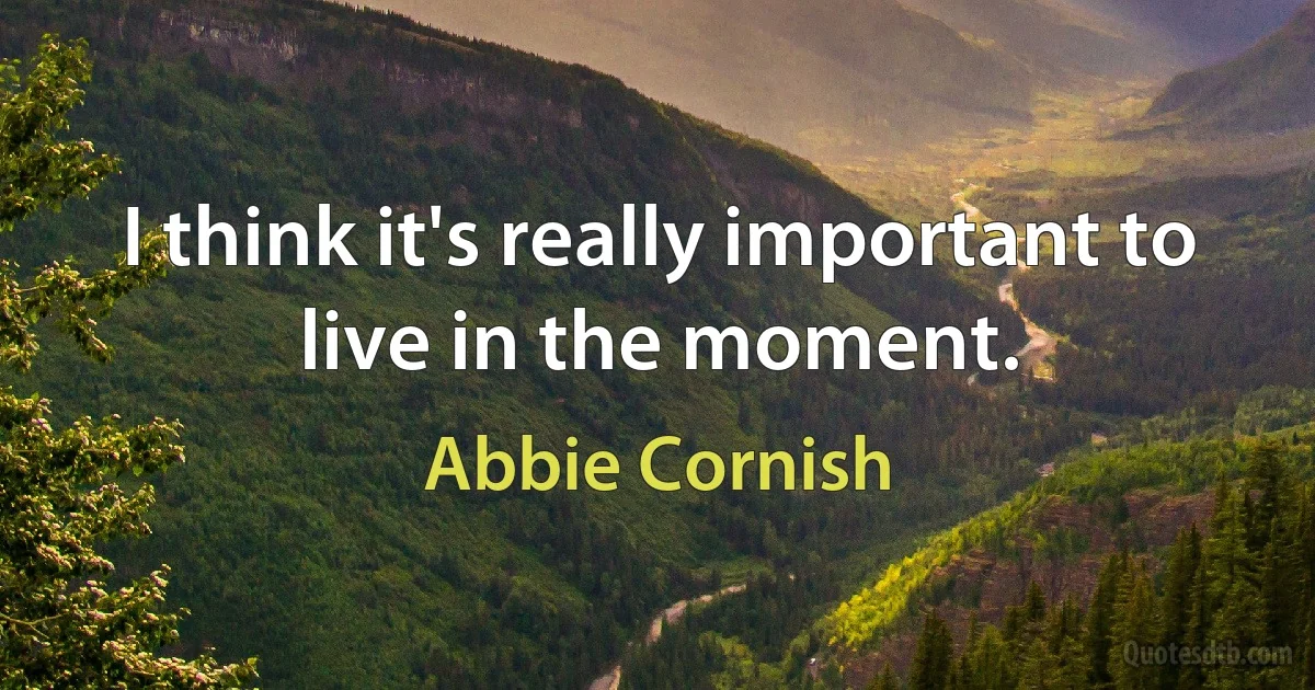 I think it's really important to live in the moment. (Abbie Cornish)