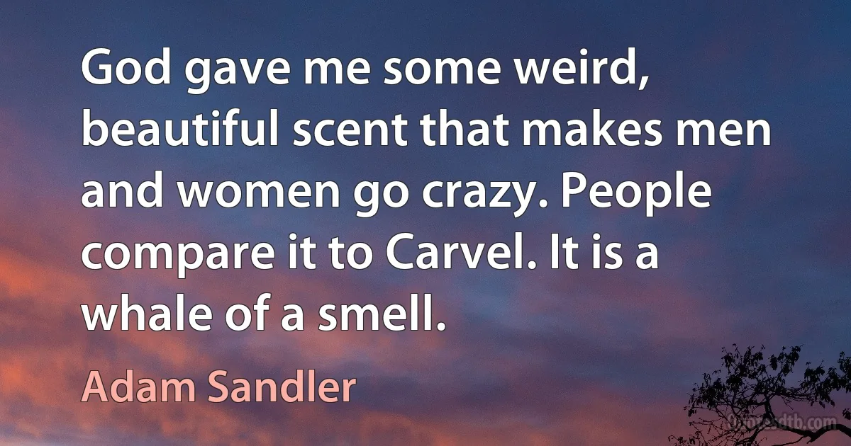 God gave me some weird, beautiful scent that makes men and women go crazy. People compare it to Carvel. It is a whale of a smell. (Adam Sandler)