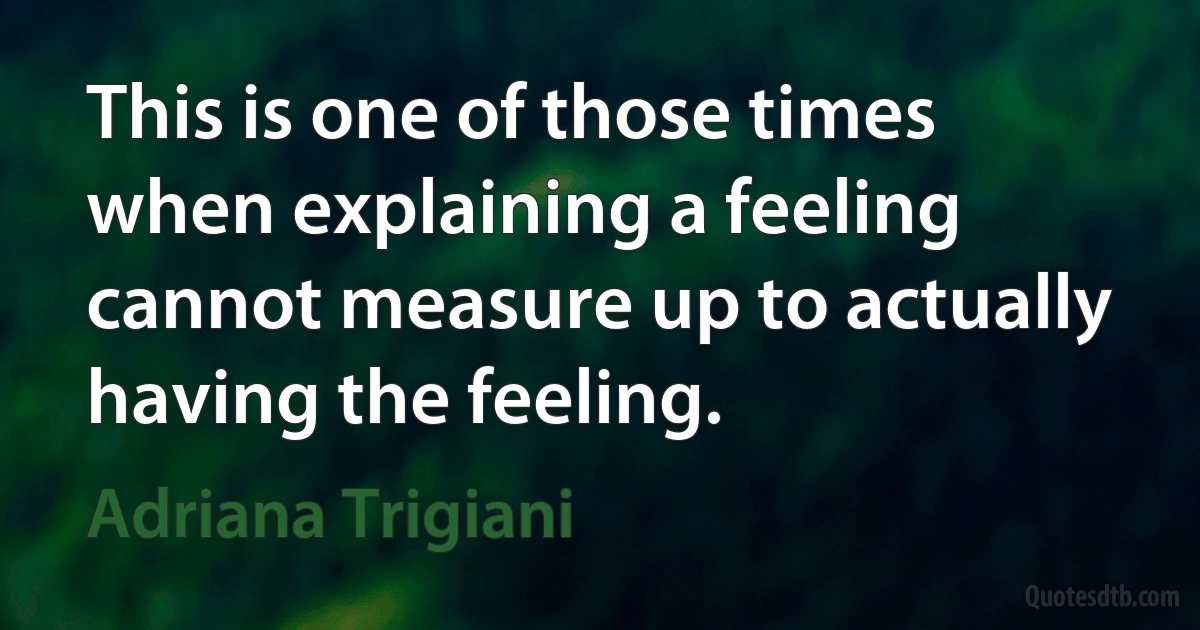 This is one of those times when explaining a feeling cannot measure up to actually having the feeling. (Adriana Trigiani)