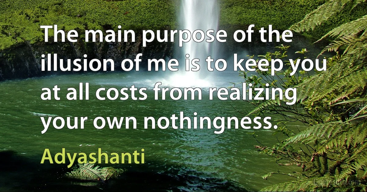 The main purpose of the illusion of me is to keep you at all costs from realizing your own nothingness. (Adyashanti)