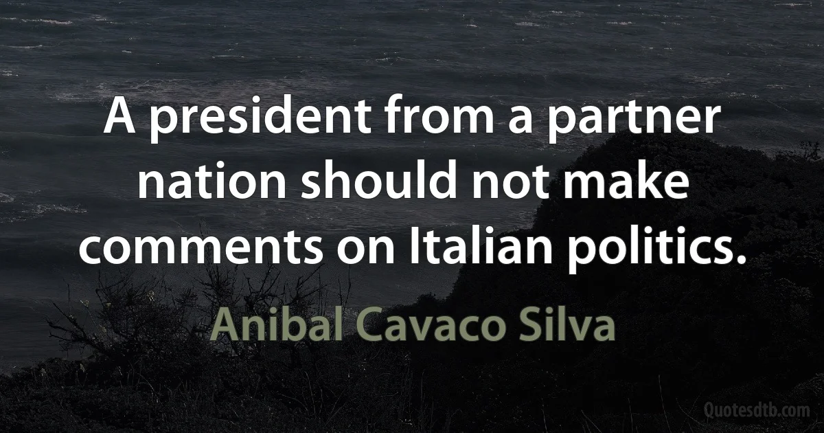 A president from a partner nation should not make comments on Italian politics. (Anibal Cavaco Silva)