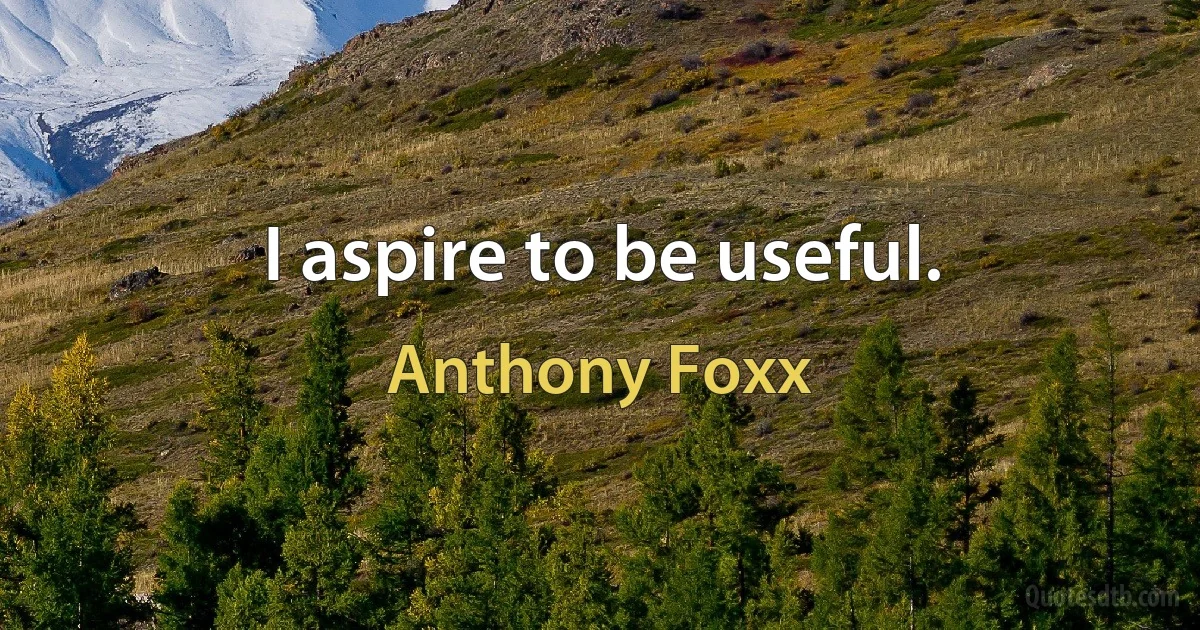 I aspire to be useful. (Anthony Foxx)