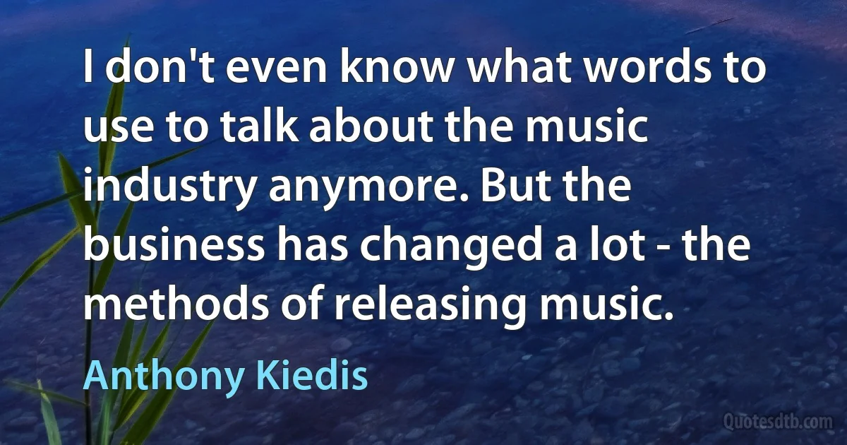 I don't even know what words to use to talk about the music industry anymore. But the business has changed a lot - the methods of releasing music. (Anthony Kiedis)