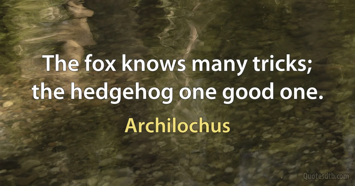 The fox knows many tricks; the hedgehog one good one. (Archilochus)