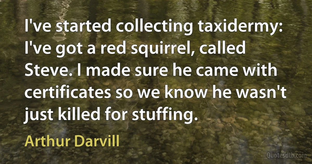 I've started collecting taxidermy: I've got a red squirrel, called Steve. I made sure he came with certificates so we know he wasn't just killed for stuffing. (Arthur Darvill)