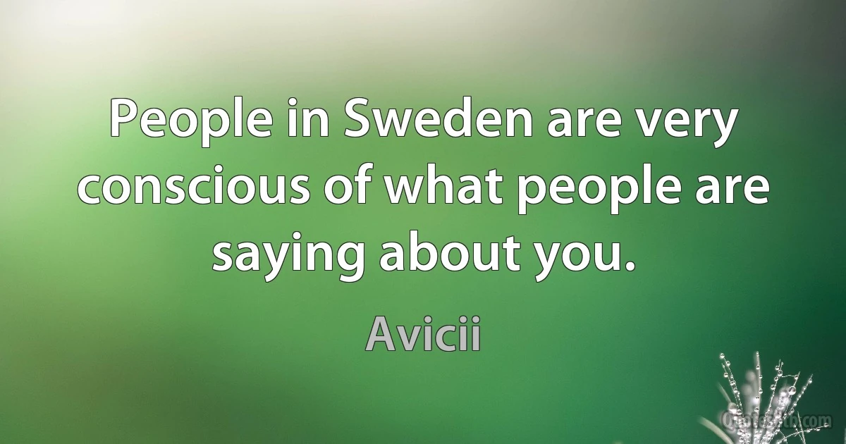 People in Sweden are very conscious of what people are saying about you. (Avicii)