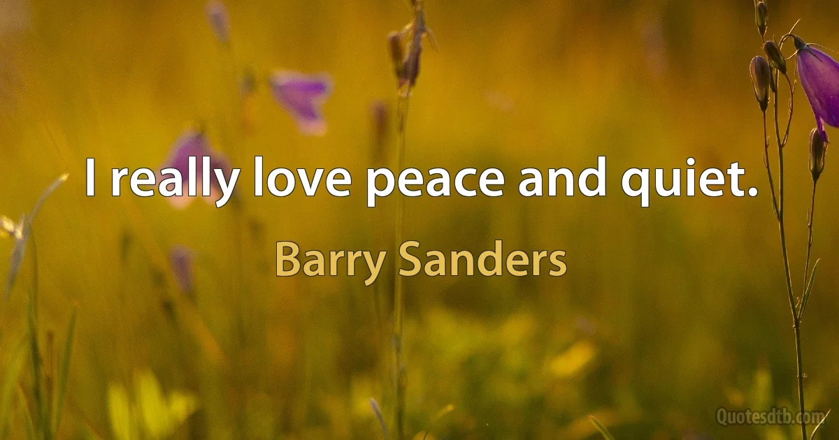 I really love peace and quiet. (Barry Sanders)