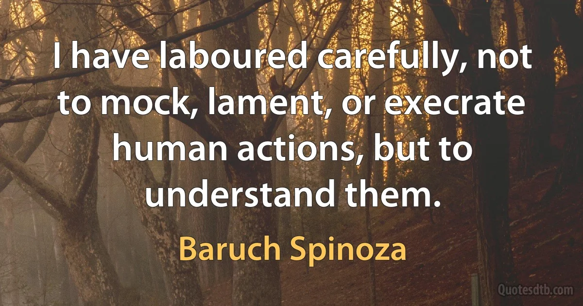 I have laboured carefully, not to mock, lament, or execrate human actions, but to understand them. (Baruch Spinoza)