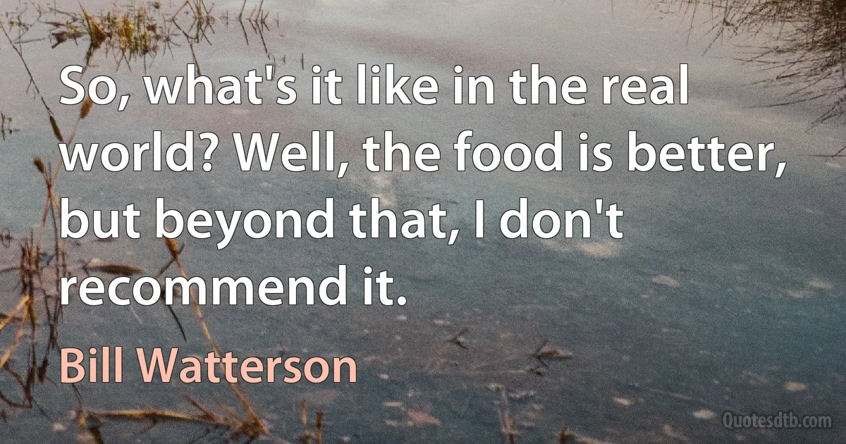 So, what's it like in the real world? Well, the food is better, but beyond that, I don't recommend it. (Bill Watterson)