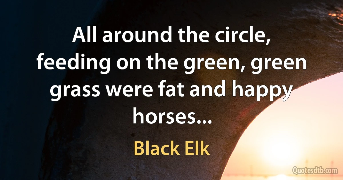 All around the circle, feeding on the green, green grass were fat and happy horses... (Black Elk)