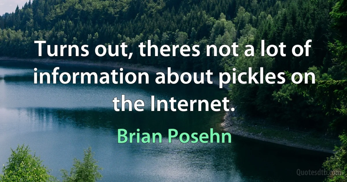 Turns out, theres not a lot of information about pickles on the Internet. (Brian Posehn)