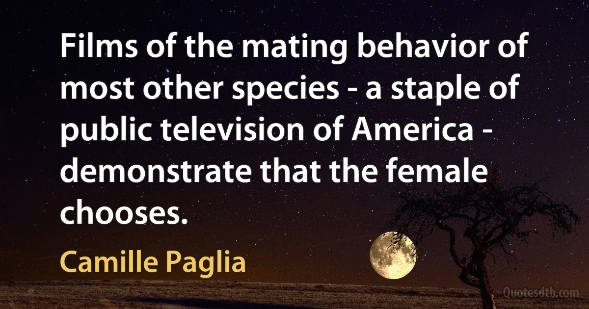 Films of the mating behavior of most other species - a staple of public television of America - demonstrate that the female chooses. (Camille Paglia)