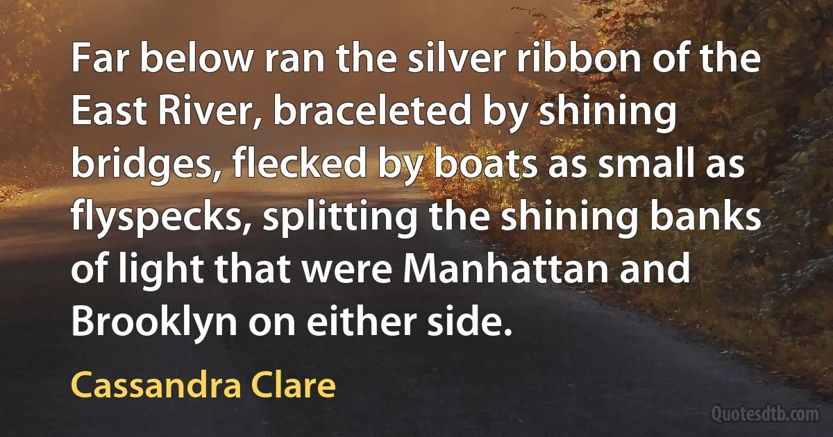 Far below ran the silver ribbon of the East River, braceleted by shining bridges, flecked by boats as small as flyspecks, splitting the shining banks of light that were Manhattan and Brooklyn on either side. (Cassandra Clare)