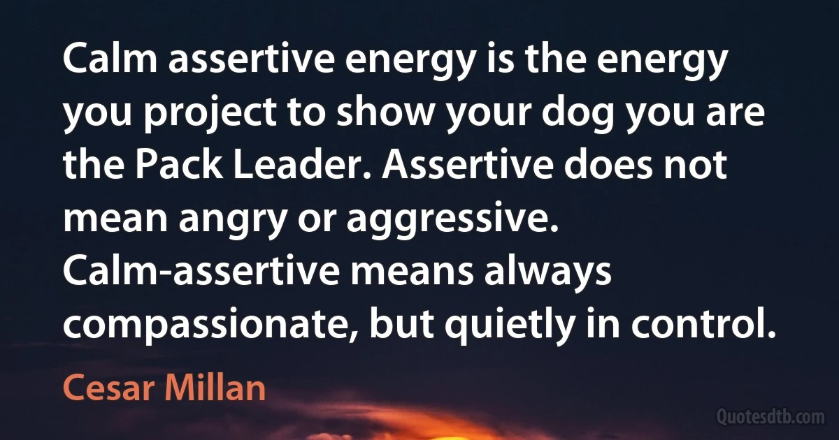 Calm assertive energy is the energy you project to show your dog you are the Pack Leader. Assertive does not mean angry or aggressive. Calm-assertive means always compassionate, but quietly in control. (Cesar Millan)