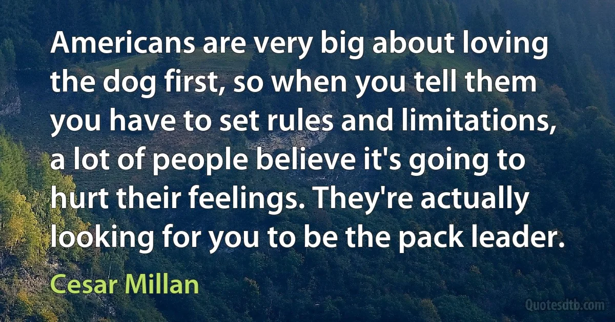 Americans are very big about loving the dog first, so when you tell them you have to set rules and limitations, a lot of people believe it's going to hurt their feelings. They're actually looking for you to be the pack leader. (Cesar Millan)