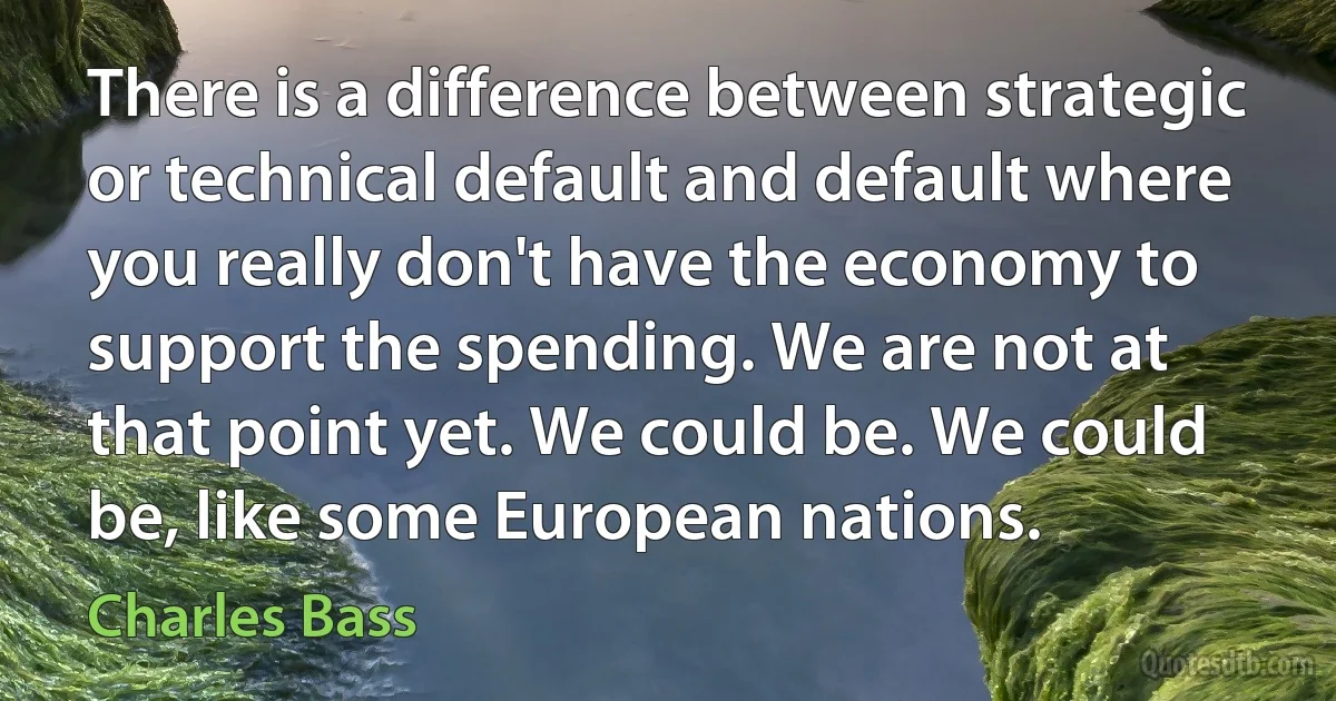 There is a difference between strategic or technical default and default where you really don't have the economy to support the spending. We are not at that point yet. We could be. We could be, like some European nations. (Charles Bass)