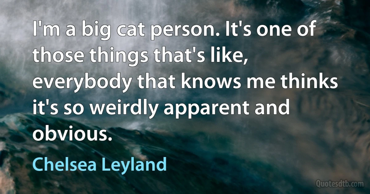 I'm a big cat person. It's one of those things that's like, everybody that knows me thinks it's so weirdly apparent and obvious. (Chelsea Leyland)