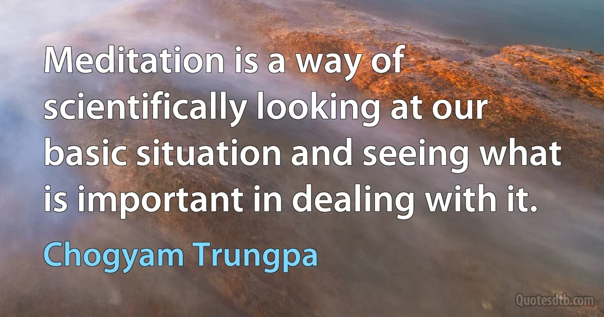 Meditation is a way of scientifically looking at our basic situation and seeing what is important in dealing with it. (Chogyam Trungpa)