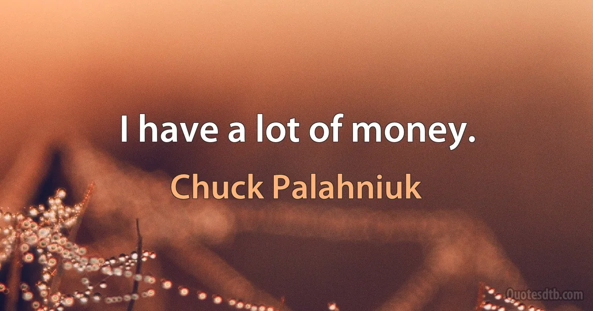 I have a lot of money. (Chuck Palahniuk)