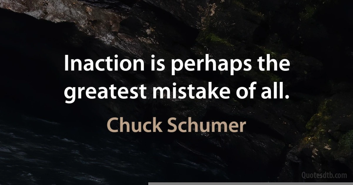 Inaction is perhaps the greatest mistake of all. (Chuck Schumer)