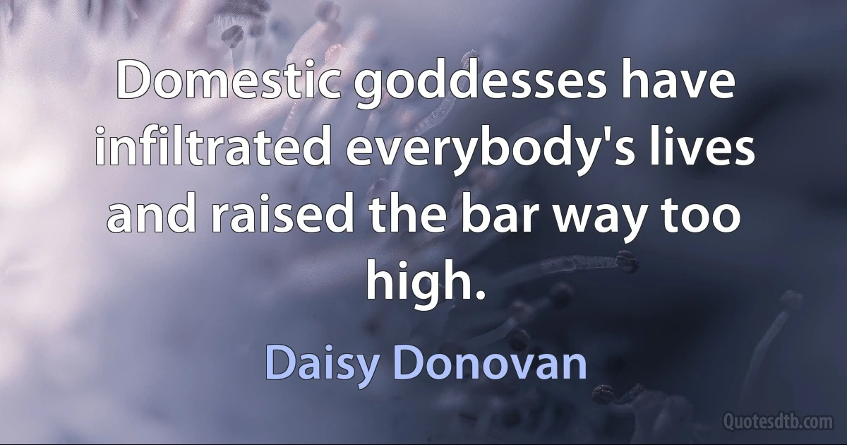 Domestic goddesses have infiltrated everybody's lives and raised the bar way too high. (Daisy Donovan)