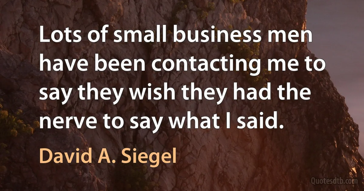 Lots of small business men have been contacting me to say they wish they had the nerve to say what I said. (David A. Siegel)