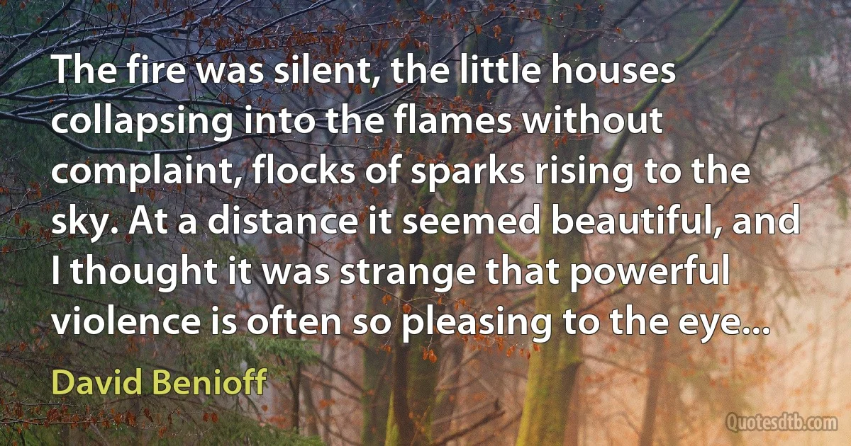 The fire was silent, the little houses collapsing into the flames without complaint, flocks of sparks rising to the sky. At a distance it seemed beautiful, and I thought it was strange that powerful violence is often so pleasing to the eye... (David Benioff)