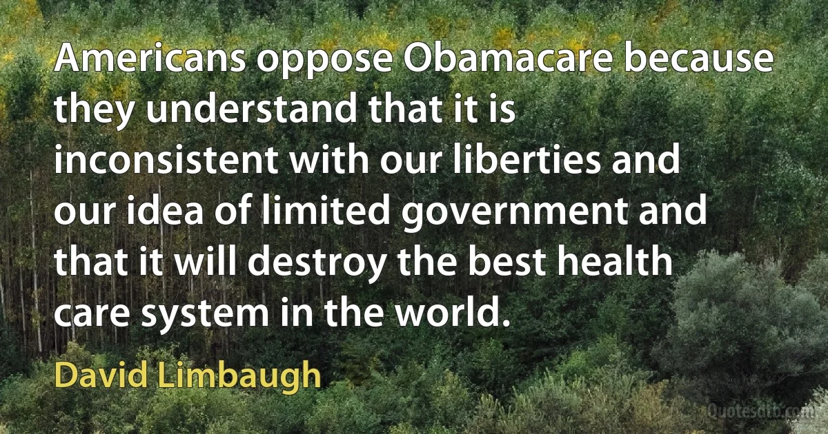 Americans oppose Obamacare because they understand that it is inconsistent with our liberties and our idea of limited government and that it will destroy the best health care system in the world. (David Limbaugh)