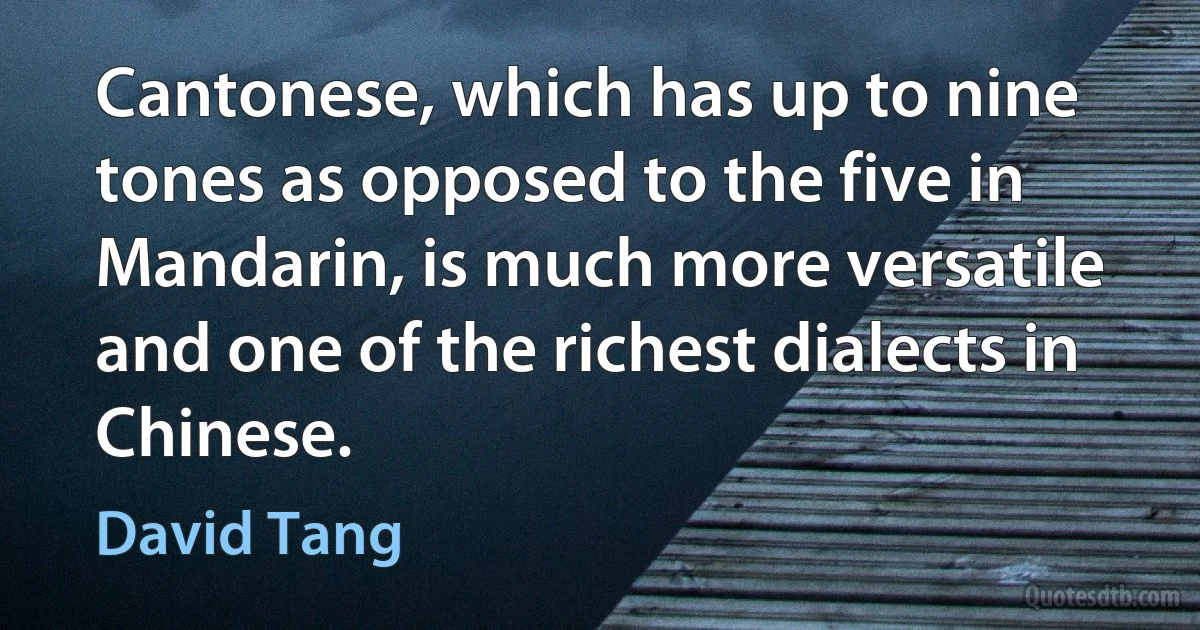 Cantonese, which has up to nine tones as opposed to the five in Mandarin, is much more versatile and one of the richest dialects in Chinese. (David Tang)