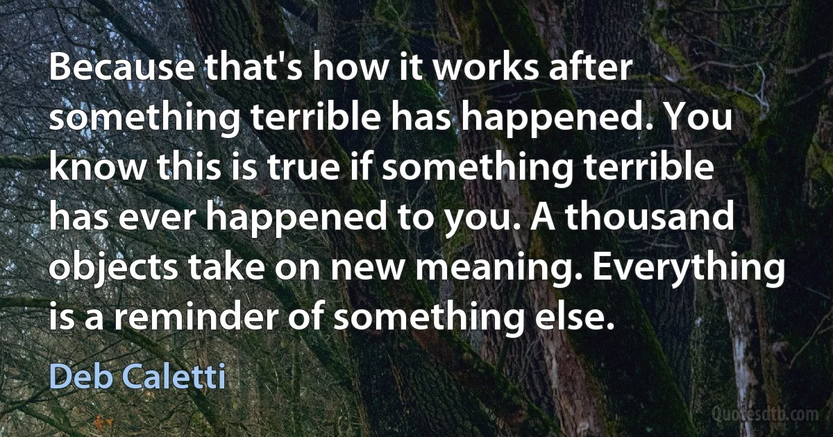 Because that's how it works after something terrible has happened. You know this is true if something terrible has ever happened to you. A thousand objects take on new meaning. Everything is a reminder of something else. (Deb Caletti)