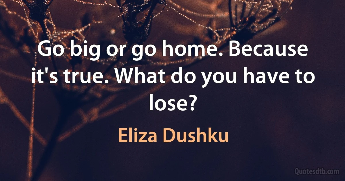 Go big or go home. Because it's true. What do you have to lose? (Eliza Dushku)