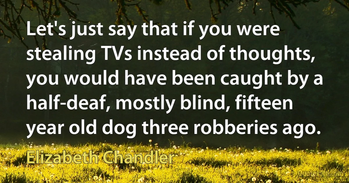 Let's just say that if you were stealing TVs instead of thoughts, you would have been caught by a half-deaf, mostly blind, fifteen year old dog three robberies ago. (Elizabeth Chandler)