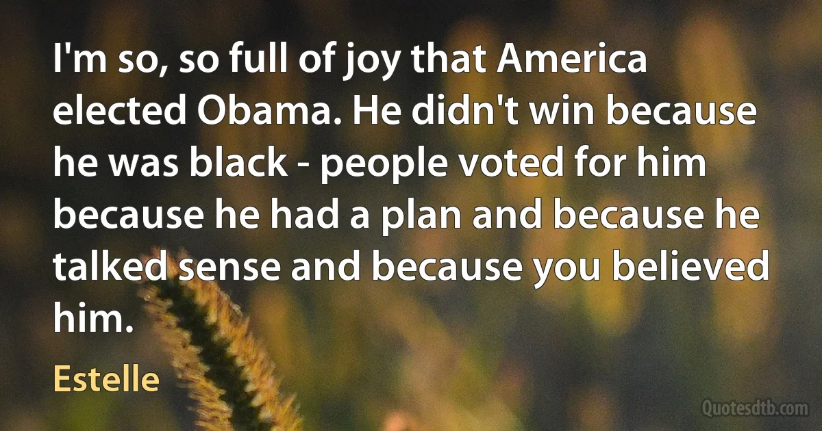 I'm so, so full of joy that America elected Obama. He didn't win because he was black - people voted for him because he had a plan and because he talked sense and because you believed him. (Estelle)