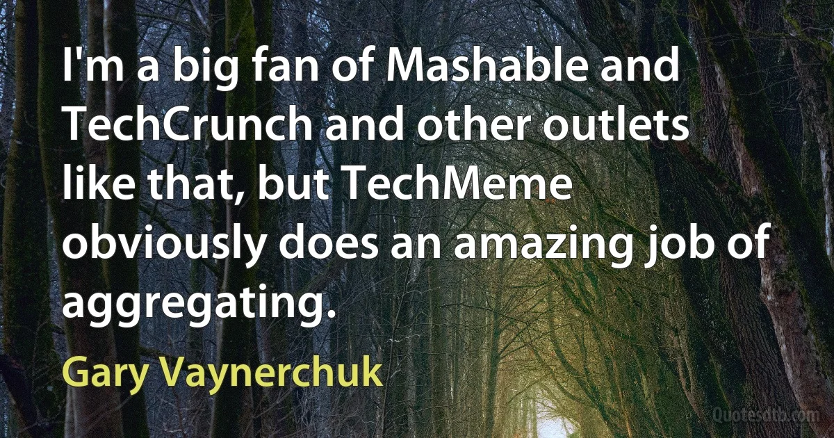 I'm a big fan of Mashable and TechCrunch and other outlets like that, but TechMeme obviously does an amazing job of aggregating. (Gary Vaynerchuk)