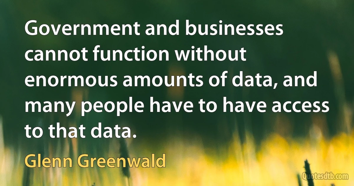 Government and businesses cannot function without enormous amounts of data, and many people have to have access to that data. (Glenn Greenwald)