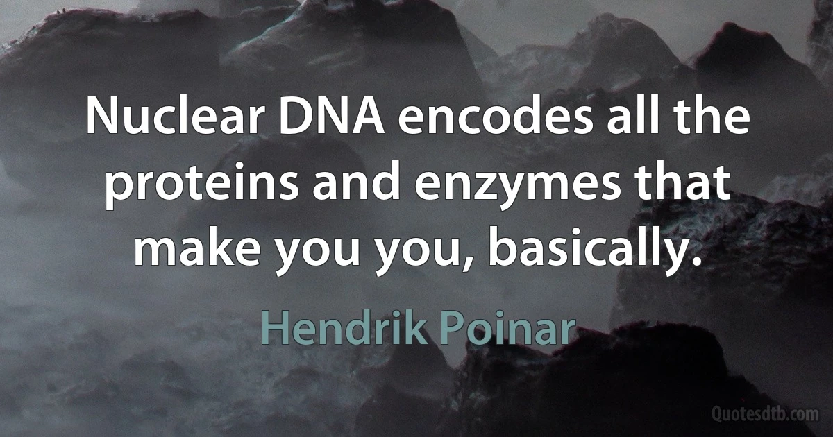 Nuclear DNA encodes all the proteins and enzymes that make you you, basically. (Hendrik Poinar)