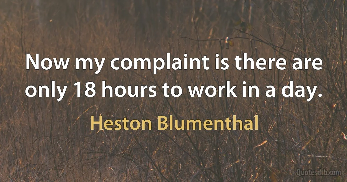 Now my complaint is there are only 18 hours to work in a day. (Heston Blumenthal)