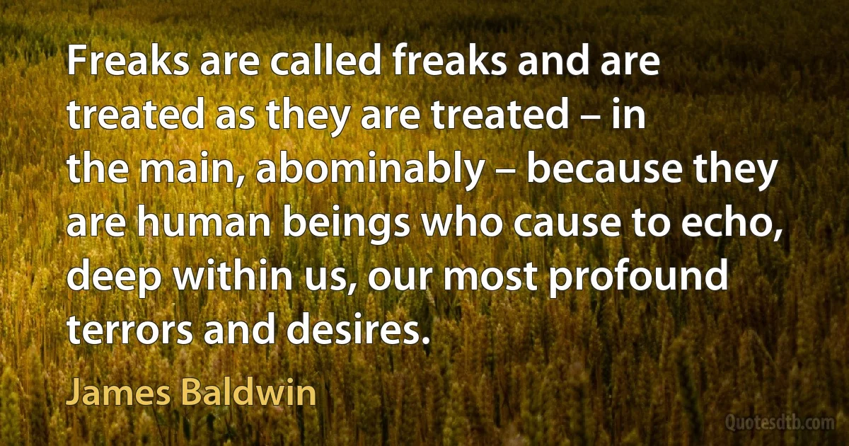 Freaks are called freaks and are treated as they are treated – in the main, abominably – because they are human beings who cause to echo, deep within us, our most profound terrors and desires. (James Baldwin)