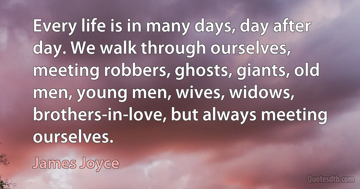 Every life is in many days, day after day. We walk through ourselves, meeting robbers, ghosts, giants, old men, young men, wives, widows, brothers-in-love, but always meeting ourselves. (James Joyce)