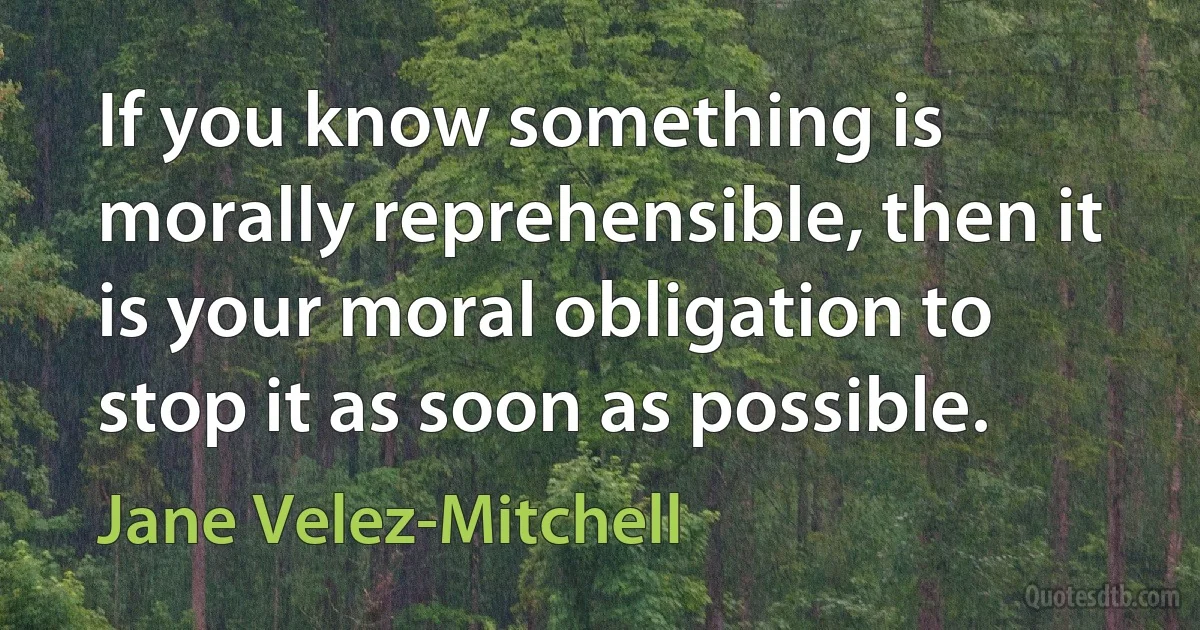 If you know something is morally reprehensible, then it is your moral obligation to stop it as soon as possible. (Jane Velez-Mitchell)