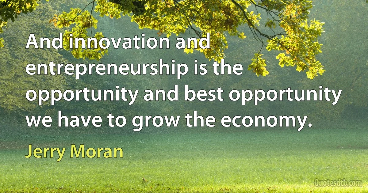 And innovation and entrepreneurship is the opportunity and best opportunity we have to grow the economy. (Jerry Moran)