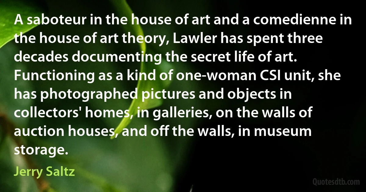 A saboteur in the house of art and a comedienne in the house of art theory, Lawler has spent three decades documenting the secret life of art. Functioning as a kind of one-woman CSI unit, she has photographed pictures and objects in collectors' homes, in galleries, on the walls of auction houses, and off the walls, in museum storage. (Jerry Saltz)