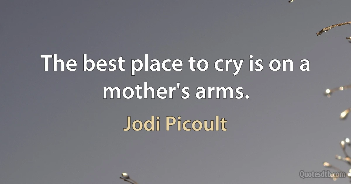 The best place to cry is on a mother's arms. (Jodi Picoult)