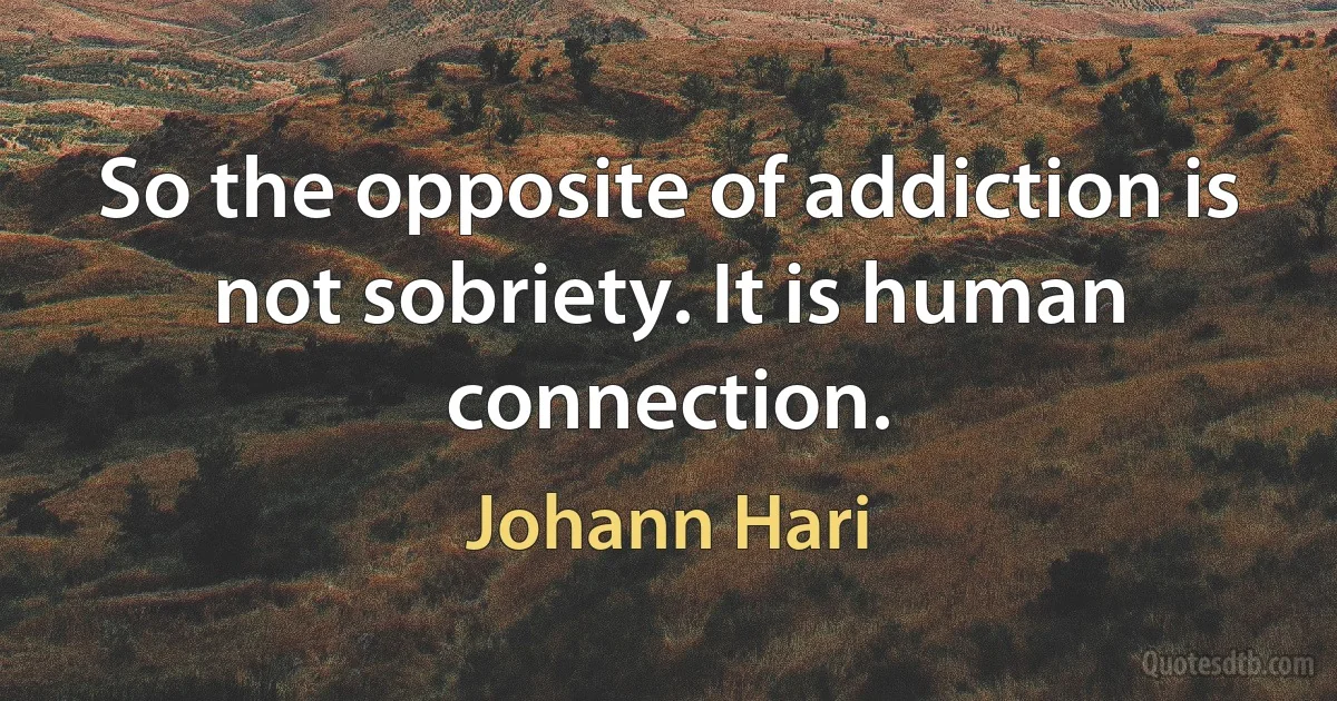 So the opposite of addiction is not sobriety. It is human connection. (Johann Hari)