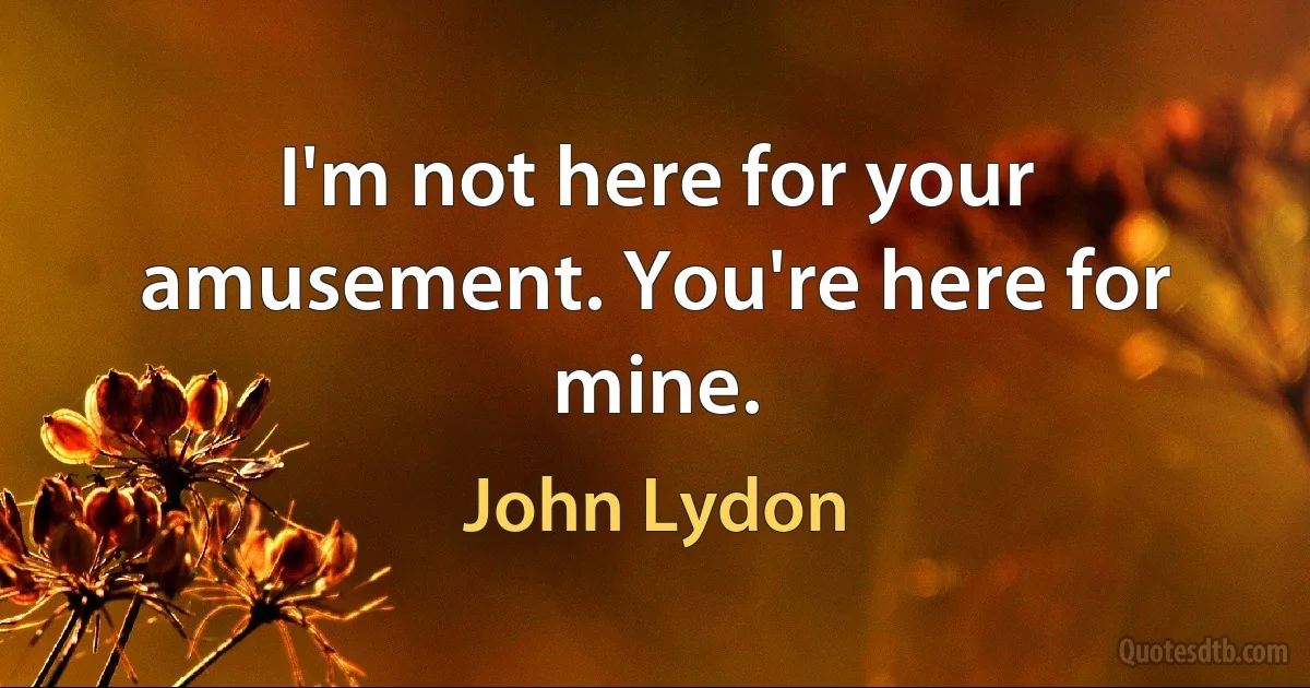 I'm not here for your amusement. You're here for mine. (John Lydon)